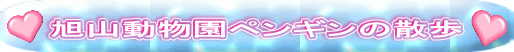 RyM̎U